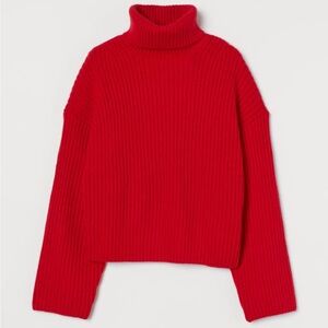 H&M Red Ribbed Turtleneck Sweater